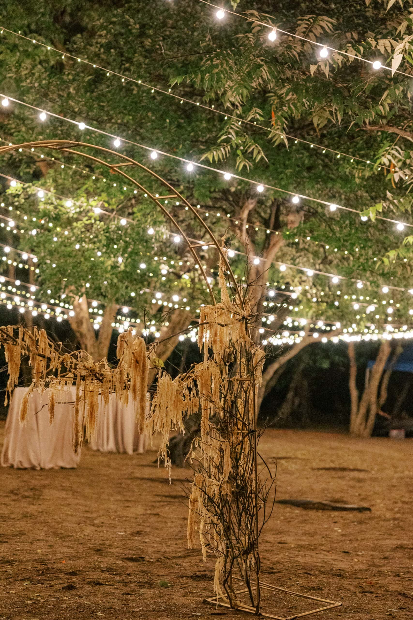 CallaLaneinCostaRica Day2Florals 155 scaled